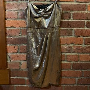 Zara Gold/Silver Velvet Mini Dress